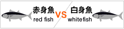 赤身魚vs白身魚